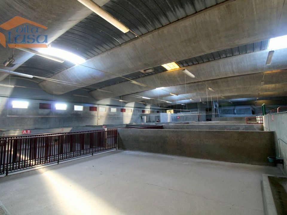 Erhvervsejendom i Oliveira do Hospital, Coimbra - foto 1