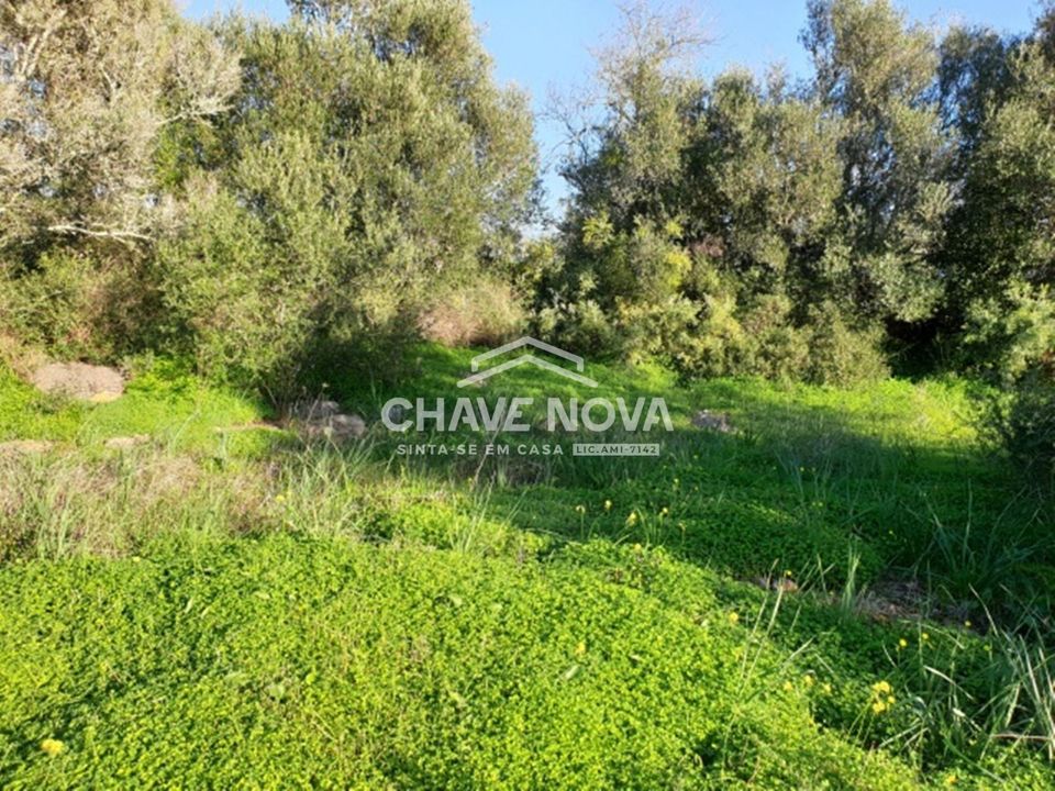 Helårsgrund i Silves, Faro - foto 3