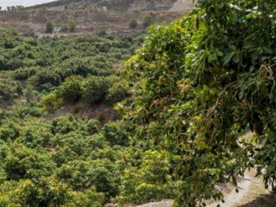 Finca i Motril, Granada - foto 1