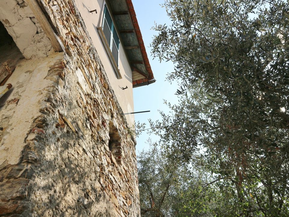 Villa in Diano San Pietro, Imperia - photo 2
