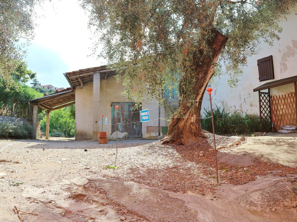 Villa in Diano San Pietro, Imperia - photo 3