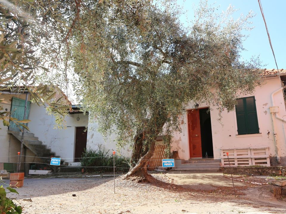 Villa in Diano San Pietro, Imperia - photo 4