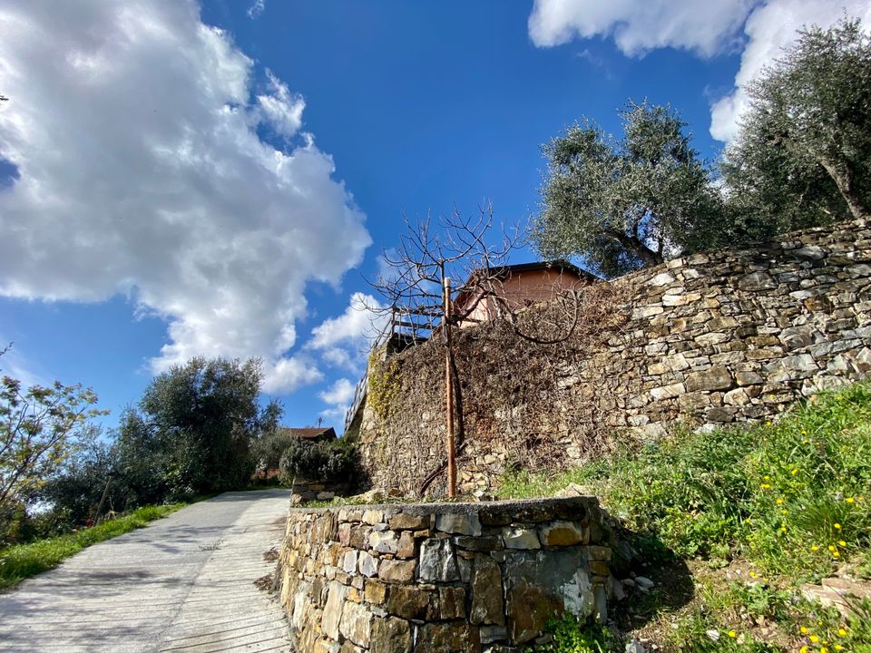 Villa in Villa Faraldi, Imperia - photo 2