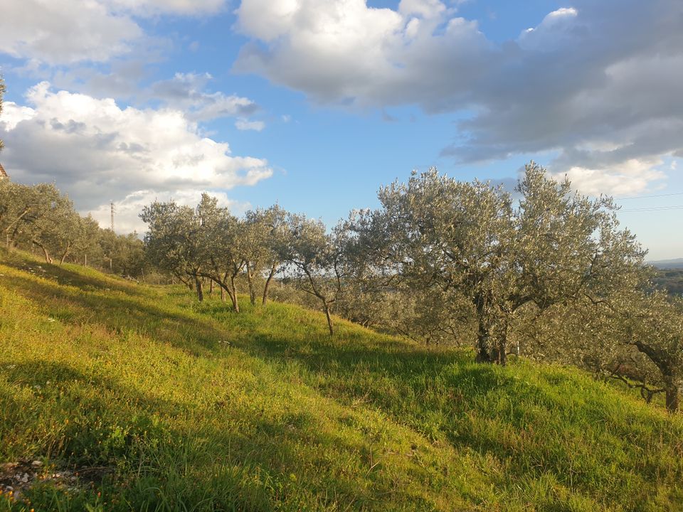 Erhvervsejendom i Lugnano in Teverina, Terni - foto 1