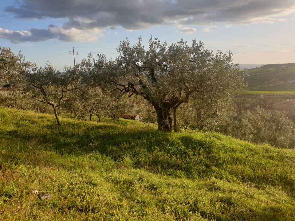 Erhvervsejendom i Lugnano in Teverina, Terni - foto 3