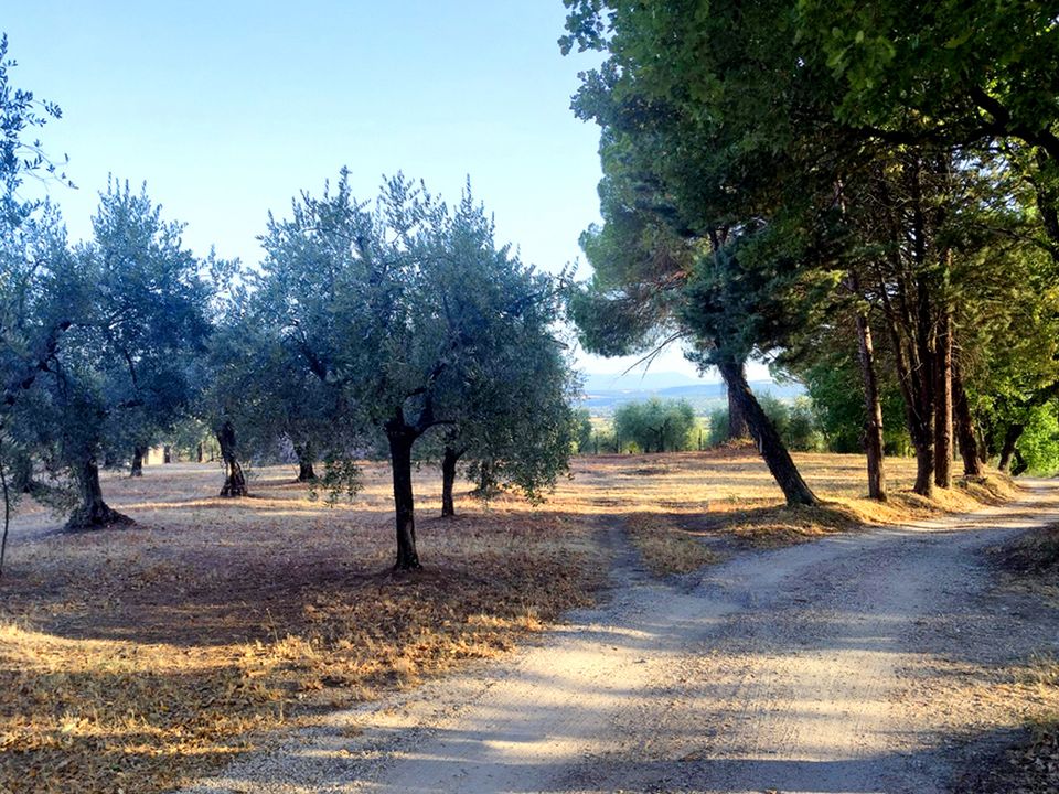 Villa i Baschi, Terni - foto 2