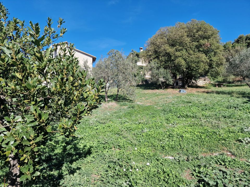 Erhvervsejendom i Lugnano in Teverina, Terni - foto 2