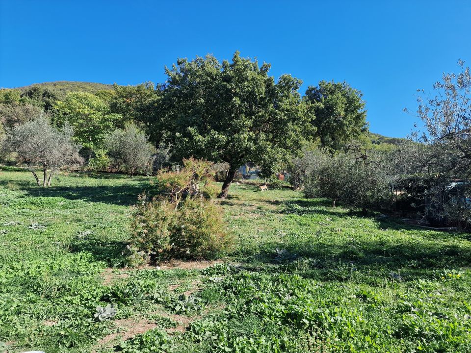 Erhvervsejendom i Lugnano in Teverina, Terni - foto 4