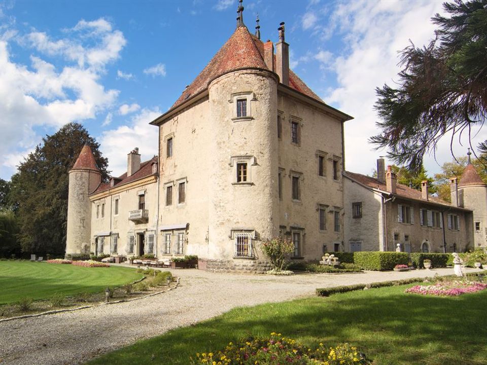 Villa i Douvaine, Haute-Savoie - foto 2