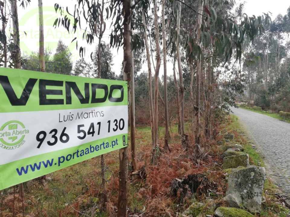 Helårsgrund i Santo Tirso, Porto - foto 1