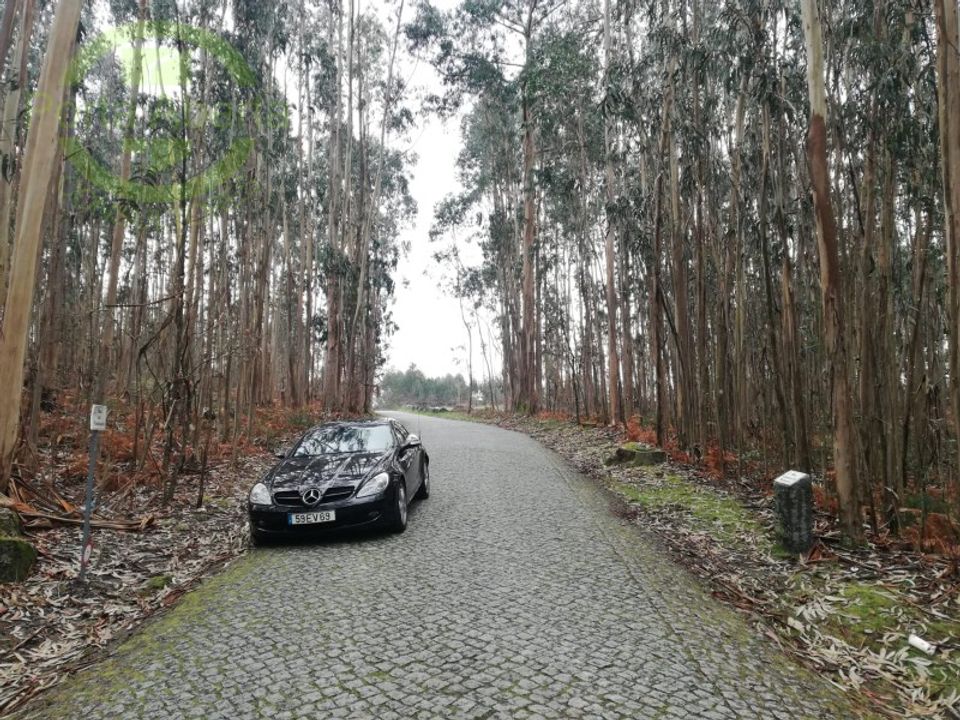 Helårsgrund i Santo Tirso, Porto - foto 2