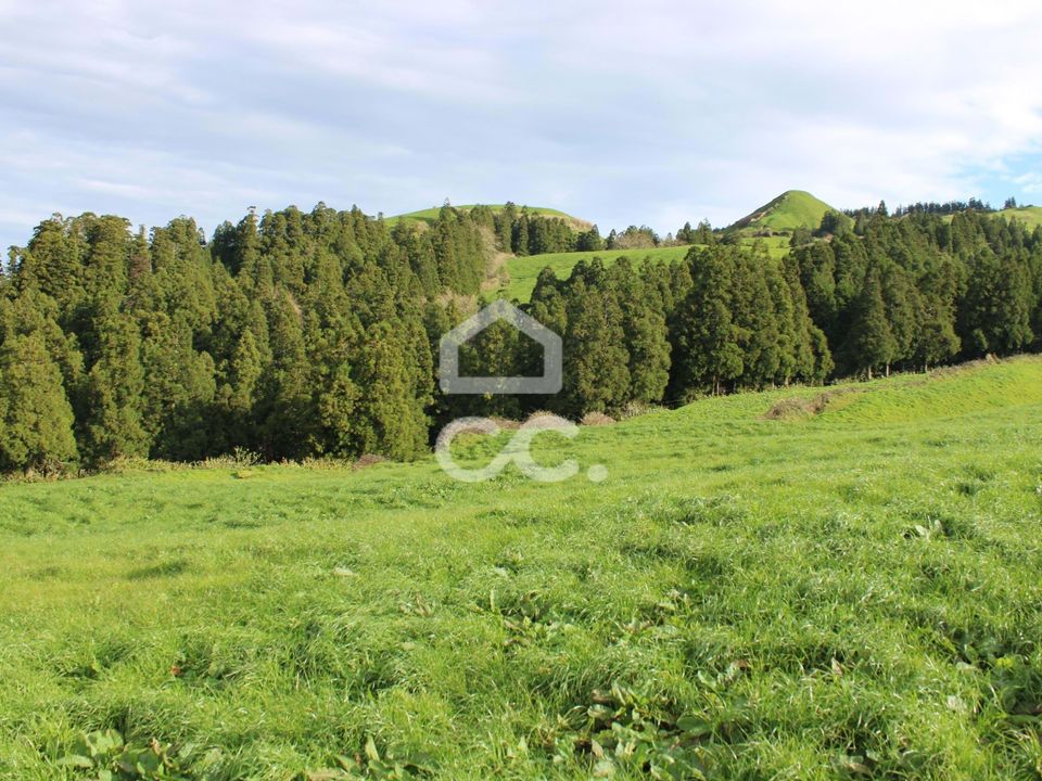 Tomt i Ginetes, Sao Miguel - bilde 5