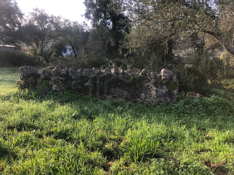 Helårsgrund i Benafim, Faro - foto 2