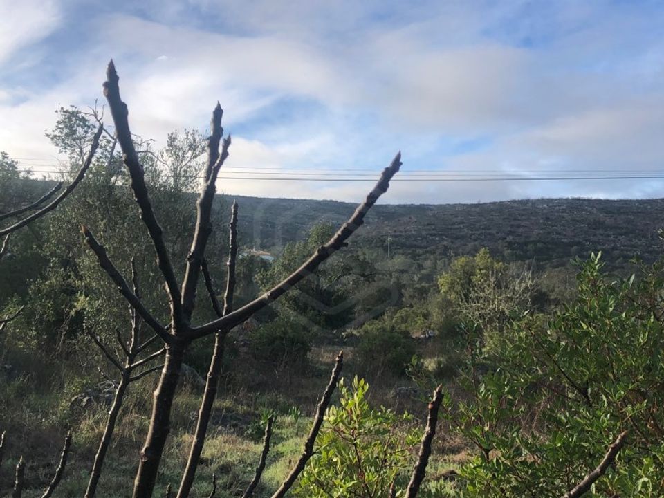 Helårsgrund i Benafim, Faro - foto 5