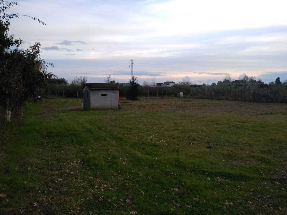 Erhvervsejendom i Massarosa, Lucca - foto 1