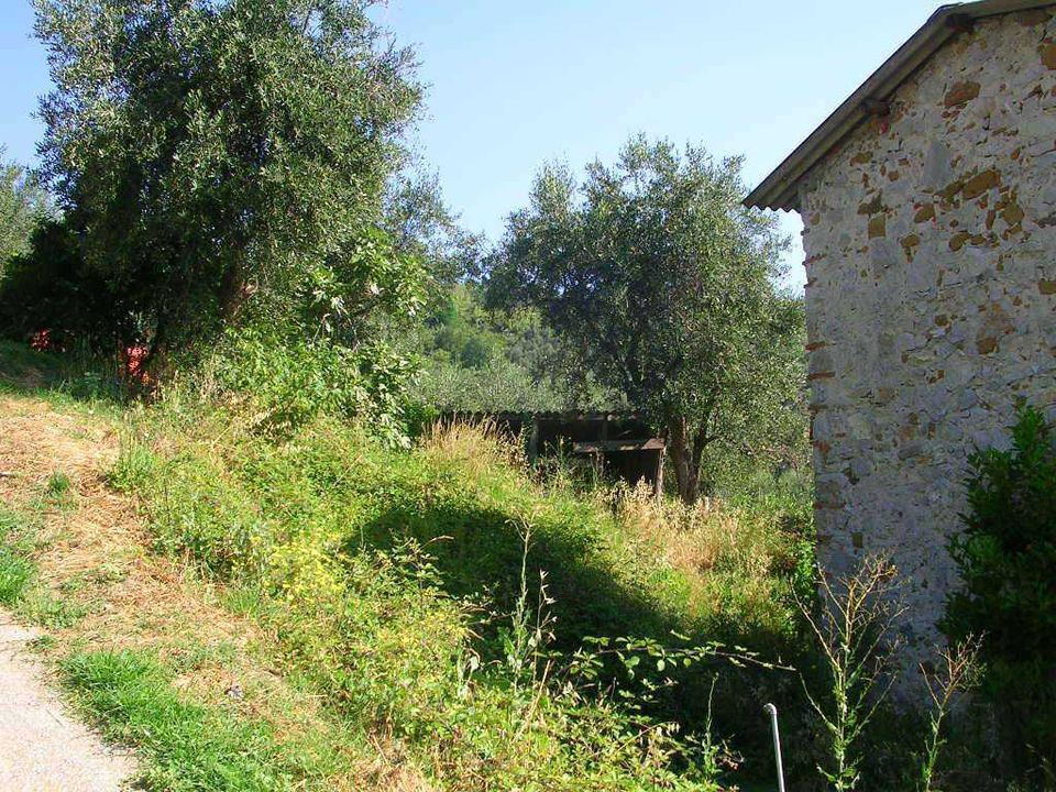 Byhus i Massarosa, Lucca - foto 5