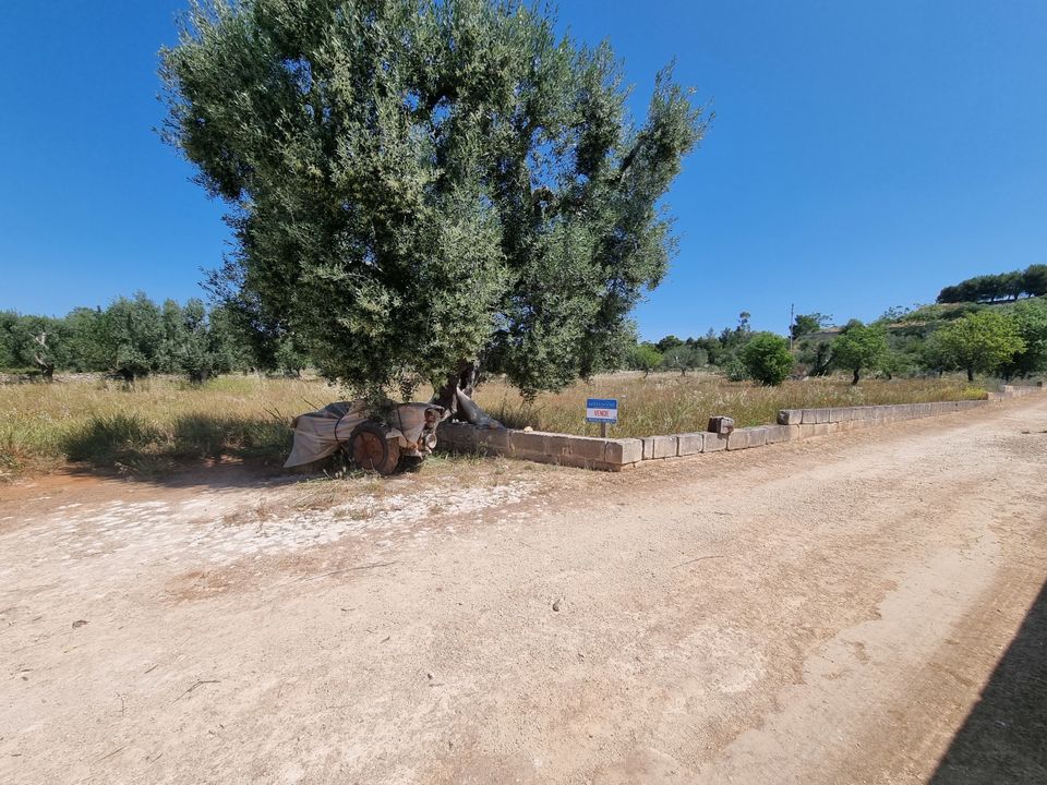 Erhvervsejendom i Grottaglie, Taranto - foto 1
