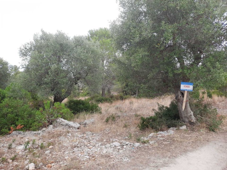Erhvervsejendom i Villa Castelli, Brindisi - foto 2