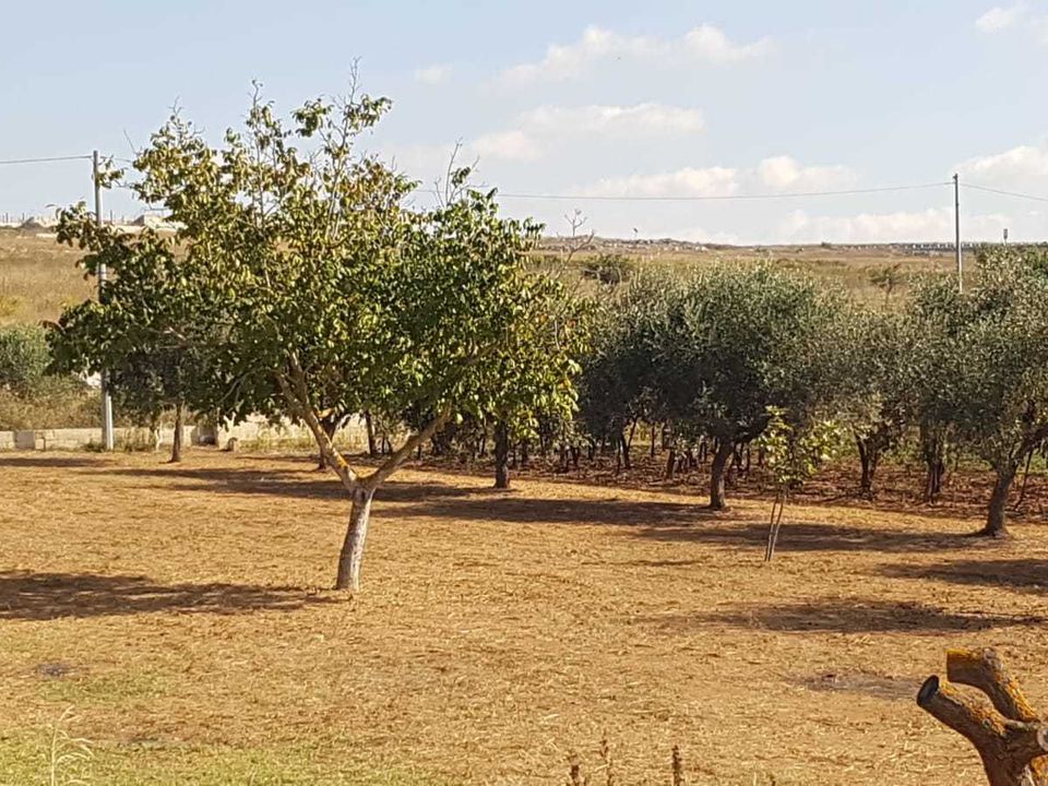 Erhvervsejendom i Grottaglie, Taranto - foto 2