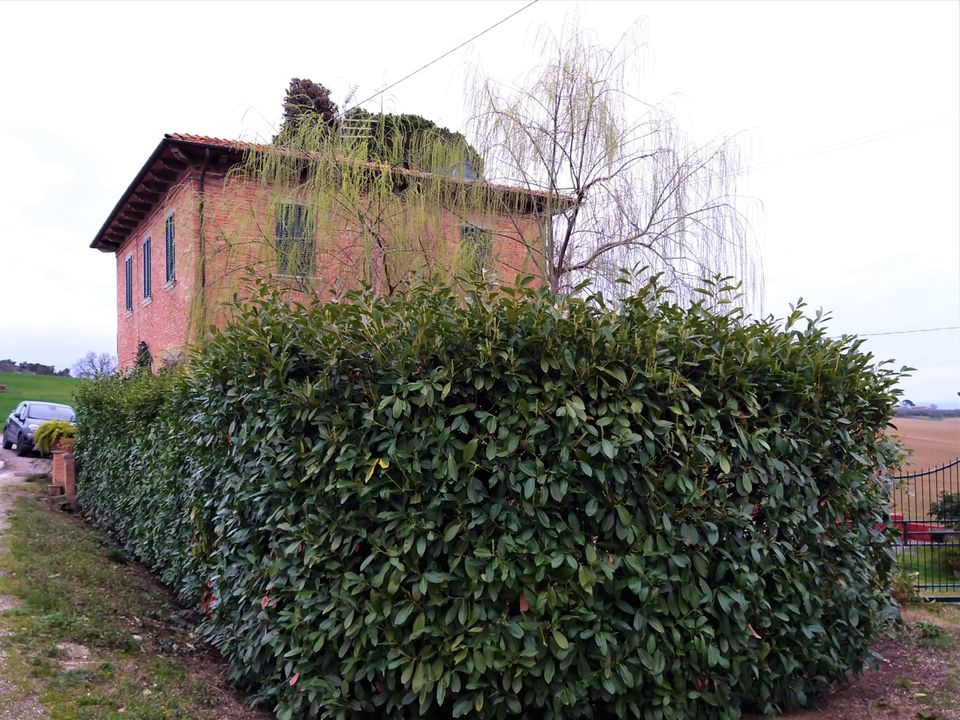 Casa de pueblo en Castiglione del Lago, Perugia - foto 2