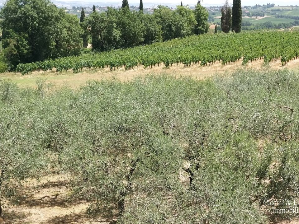 Erhvervsejendom i Montepulciano, Siena - foto 3