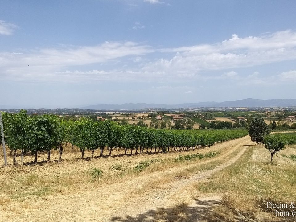 Erhvervsejendom i Montepulciano, Siena - foto 4