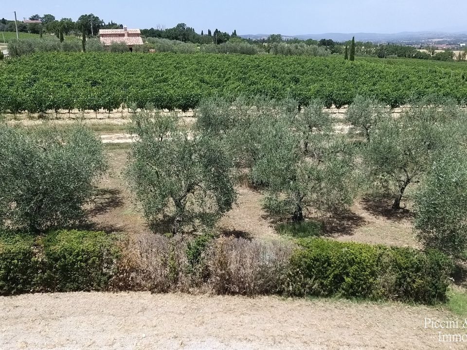 Erhvervsejendom i Montepulciano, Siena - foto 5