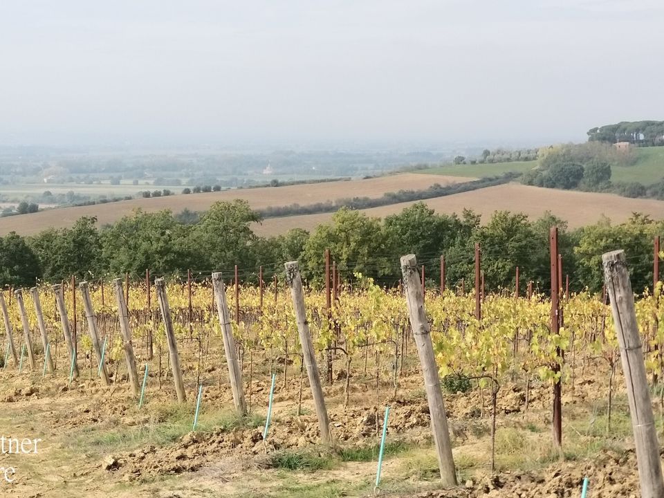 Erhvervsejendom i Cortona, Arezzo - foto 2