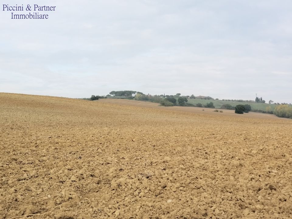 Erhvervsejendom i Cortona, Arezzo - foto 3