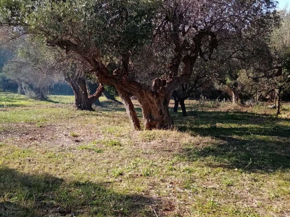 Villa i Rocca San Giovanni, Chieti - foto 2