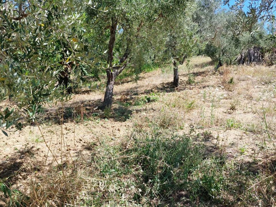 Erhvervsejendom i Lanciano, Chieti - foto 1