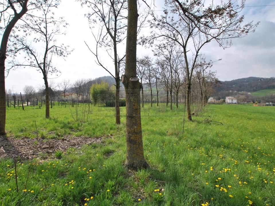 Erhvervsejendom i Cornedo Vicentino, Vicenza - foto 1