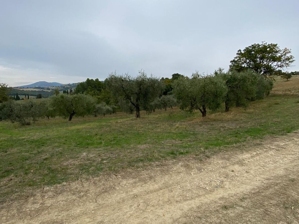 Erhvervsejendom i Lugnano in Teverina, Terni - foto 1