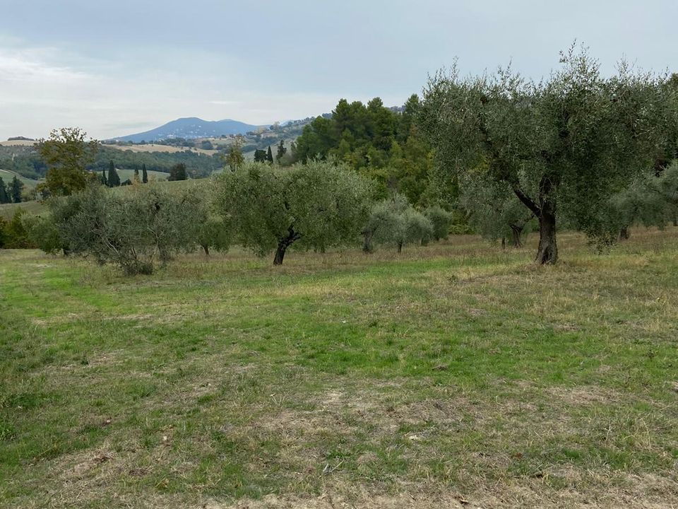 Erhvervsejendom i Lugnano in Teverina, Terni - foto 2