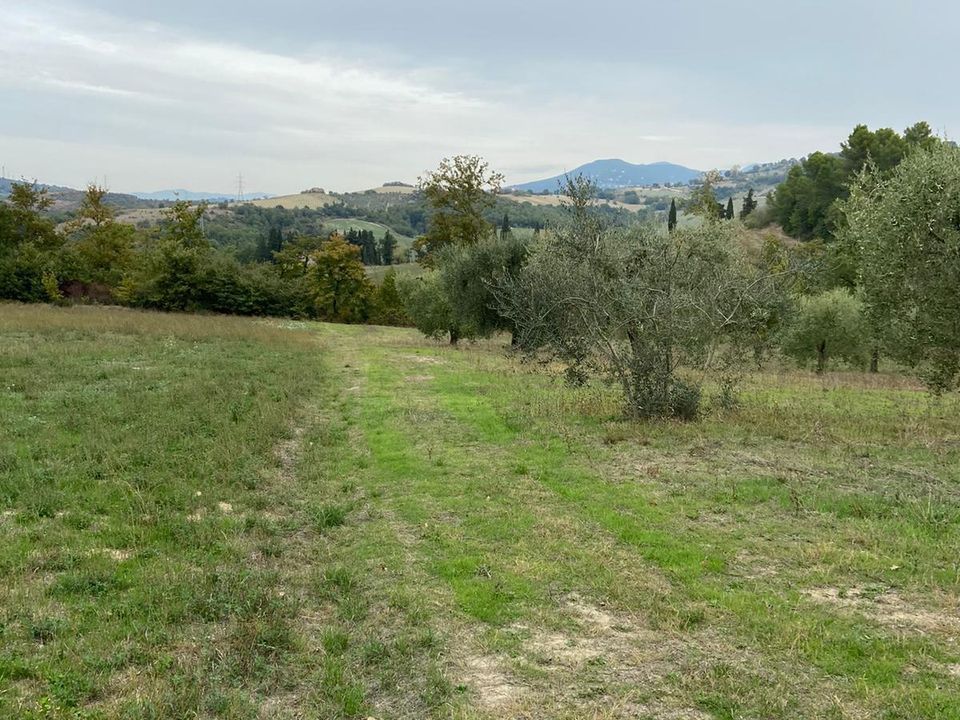 Erhvervsejendom i Lugnano in Teverina, Terni - foto 3