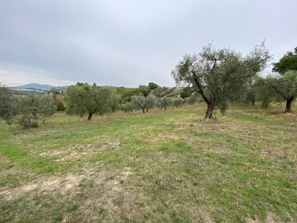Erhvervsejendom i Lugnano in Teverina, Terni - foto 4