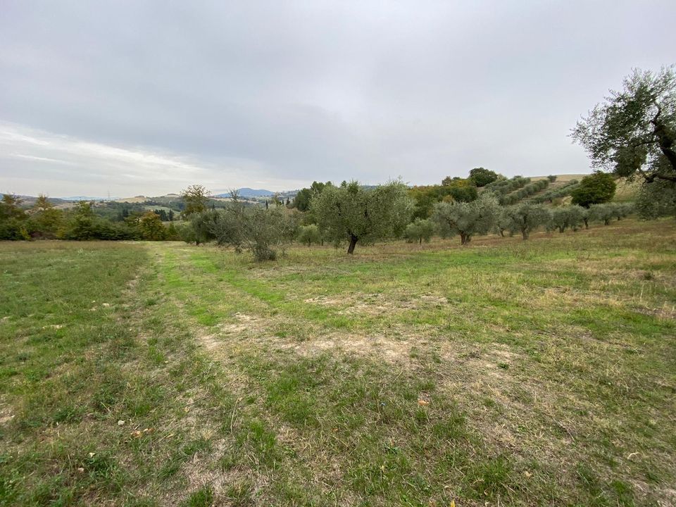 Erhvervsejendom i Lugnano in Teverina, Terni - foto 5