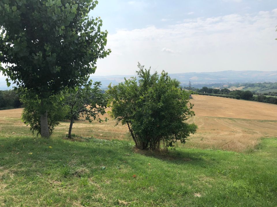 Erhvervsejendom i Jesi, Ancona - foto 2