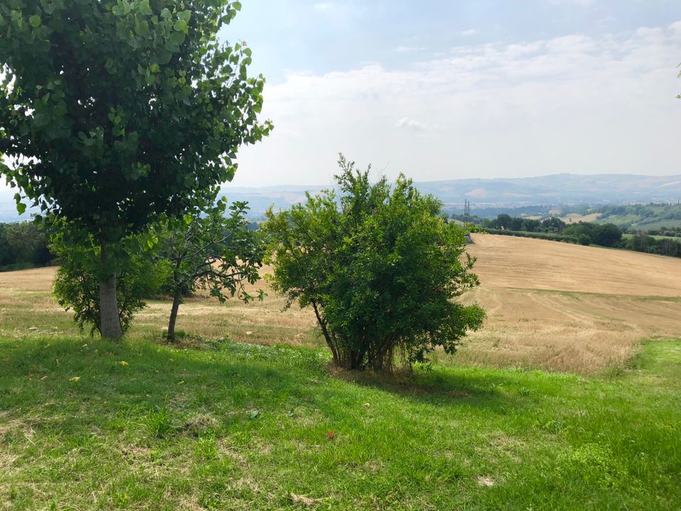 Erhvervsejendom i Jesi, Ancona - foto 3
