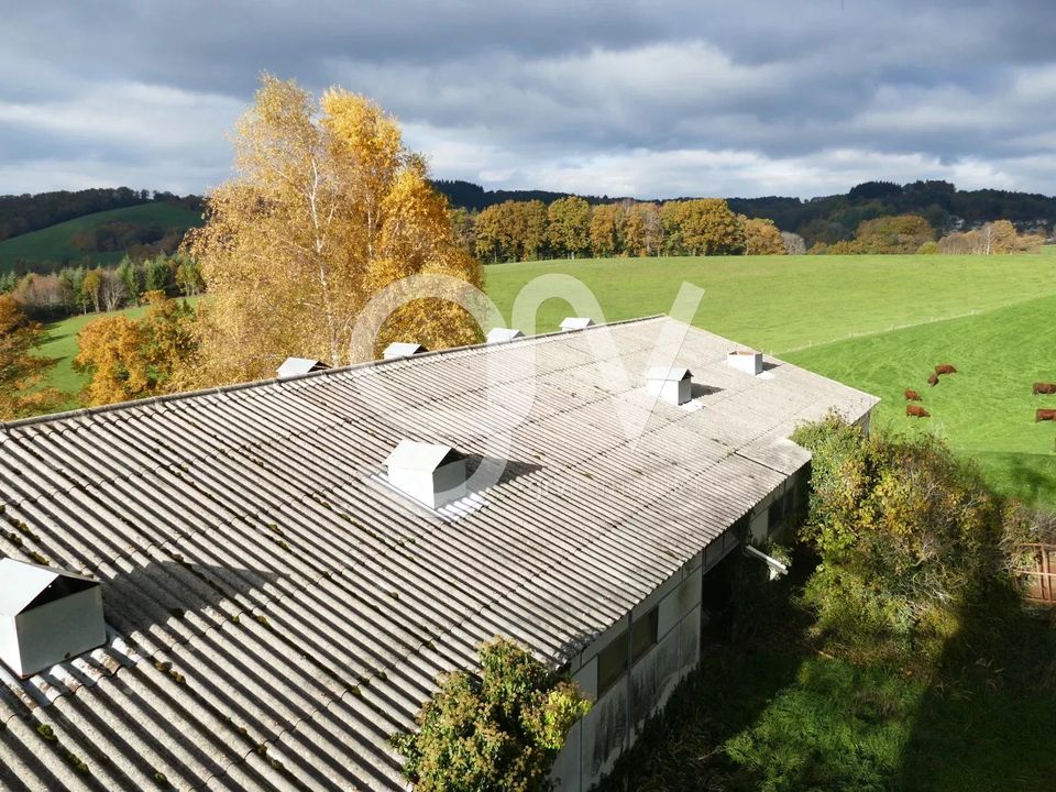 Villa i Calvinet, Cantal - foto 1