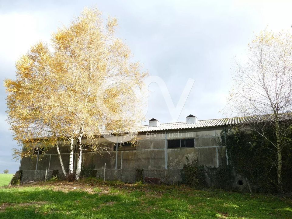 Villa i Calvinet, Cantal - foto 3