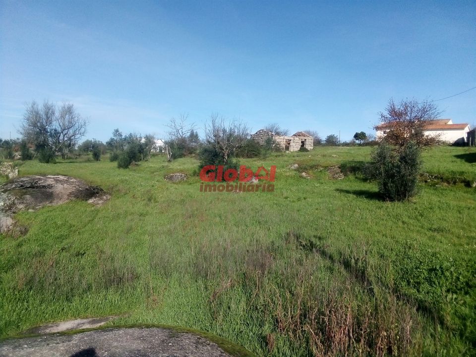 Helårsgrund i Oliveira do Hospital, Coimbra - foto 1