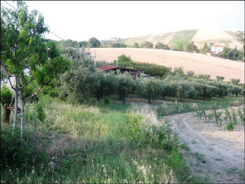 Villa - Offida, Ascoli Piceno - photo 1