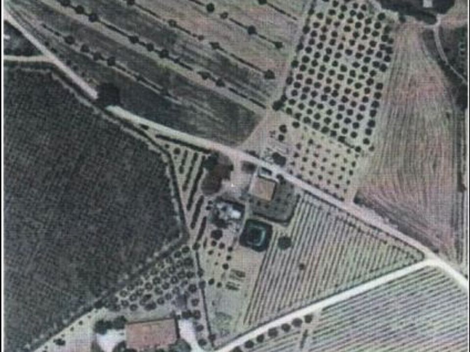 Villa - Offida, Ascoli Piceno - photo 4