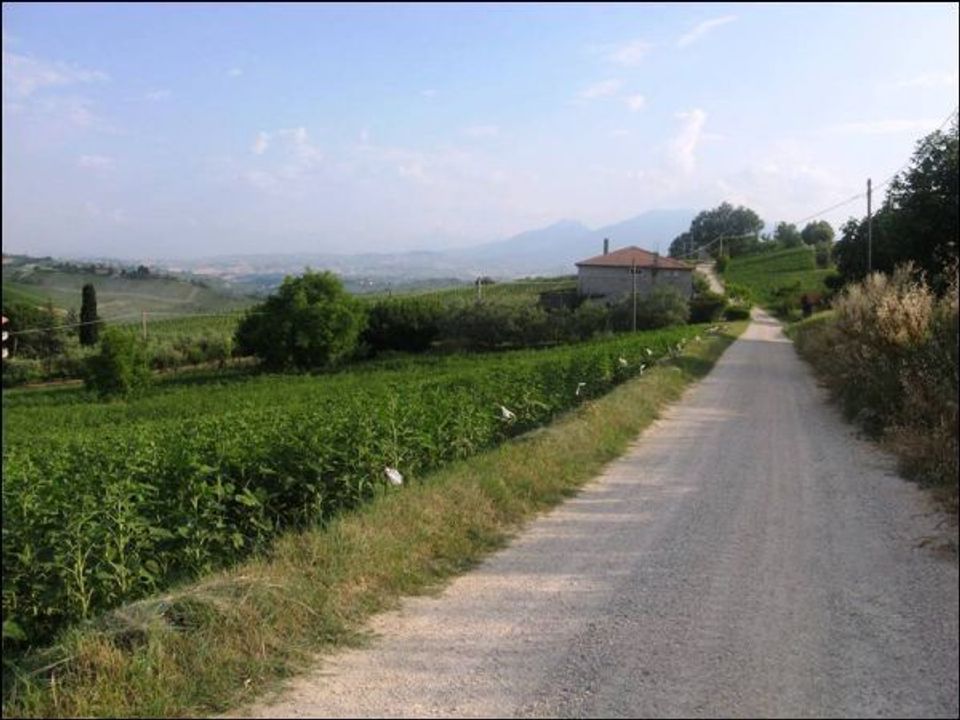 Villa - Offida, Ascoli Piceno - photo 5
