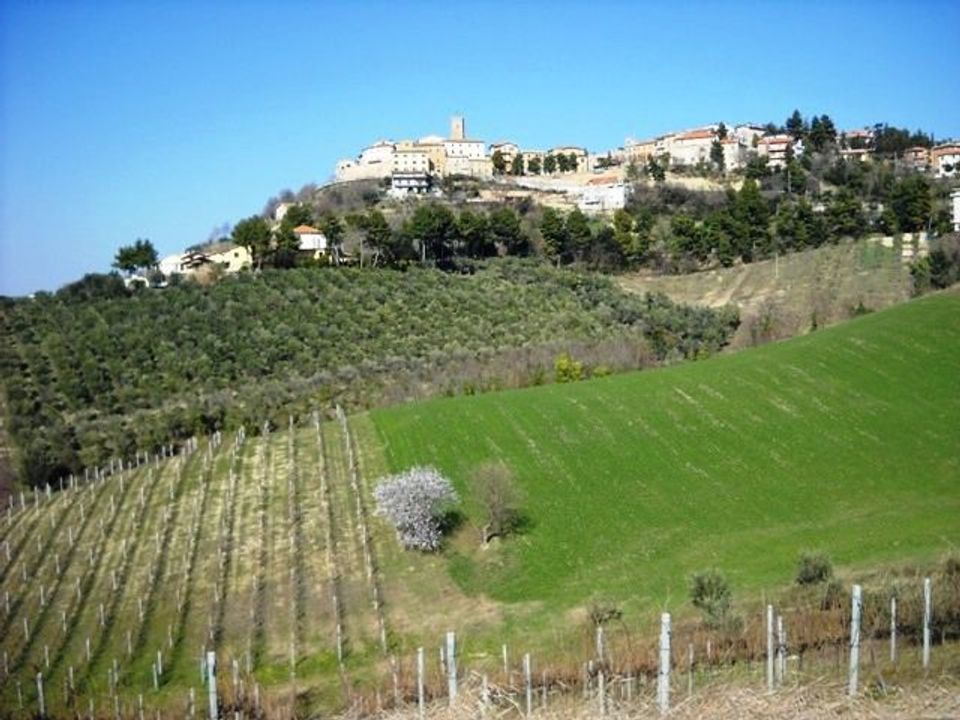 Terra a Castorano, Ascoli Piceno - foto 1