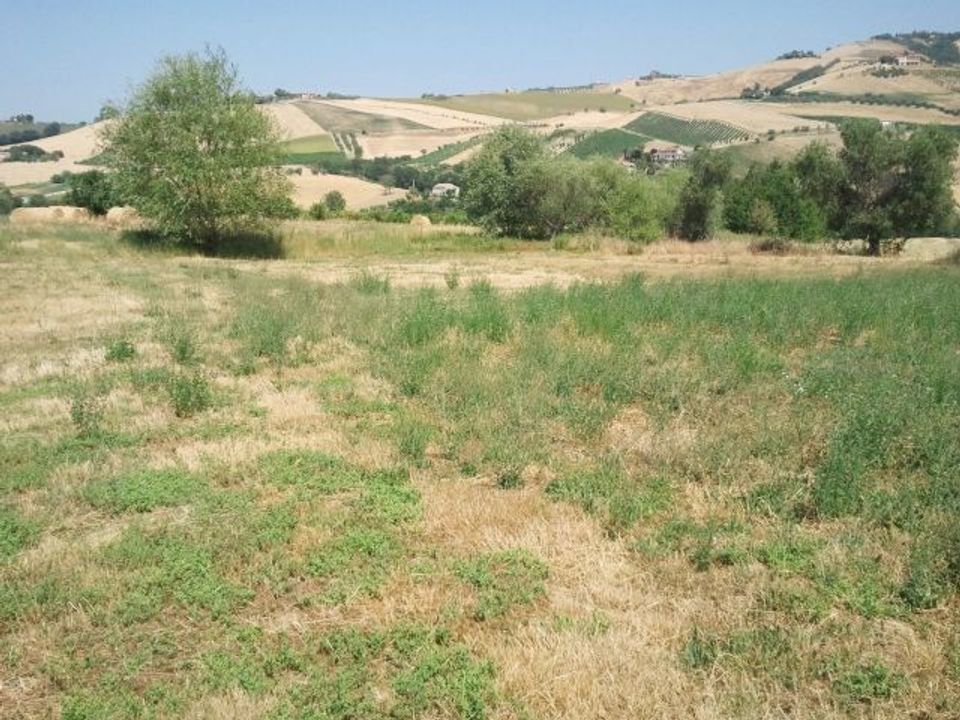 Villa en Offida, Ascoli Piceno - foto 2