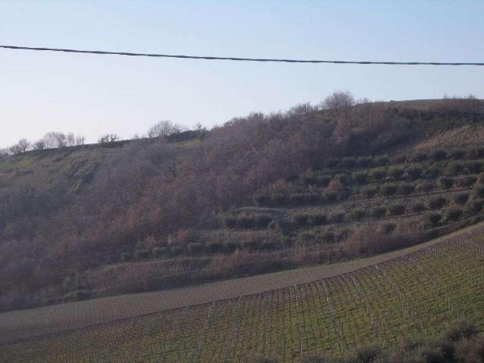 Erhvervsejendom i Ripatransone, Ascoli Piceno - foto 3