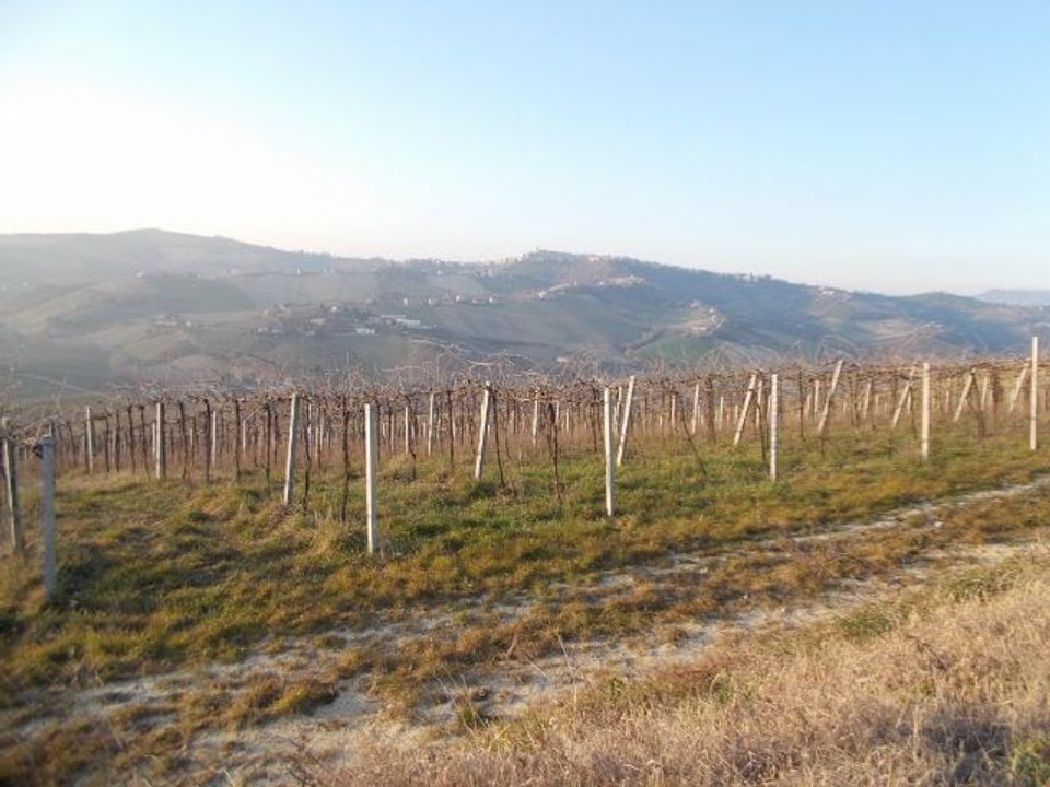 Erhvervsejendom i Ripatransone, Ascoli Piceno - foto 4