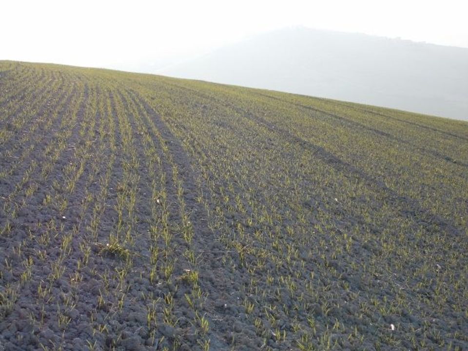 Erhvervsejendom i Ripatransone, Ascoli Piceno - foto 5